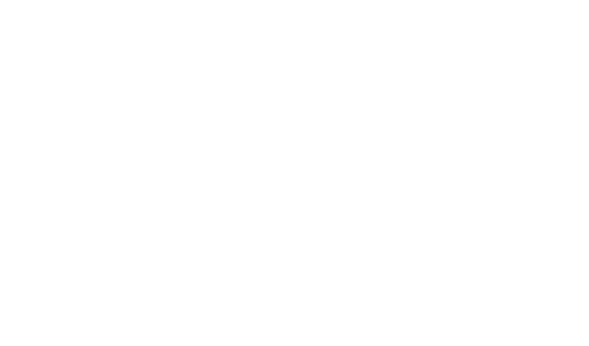 LAVIR